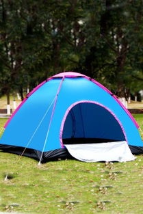 帐篷 户外生活的移动庇护所